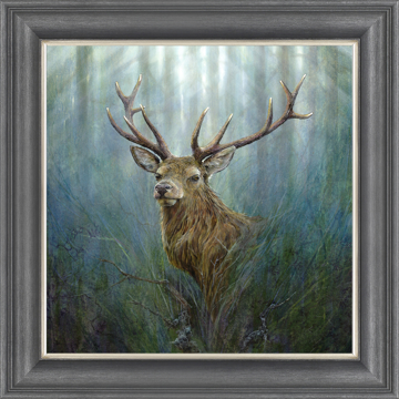 Picture of Red Deer Stag - MP117