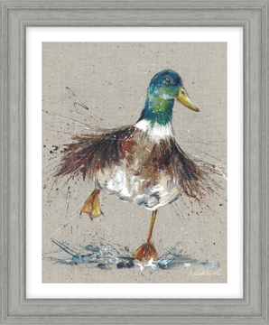 Picture of Splish Splash HF - CR116