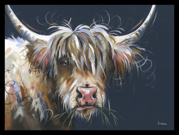 Picture of Highland Moo HF - A1