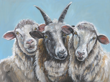 Picture of What Are Ewe Looking At - CANVAS