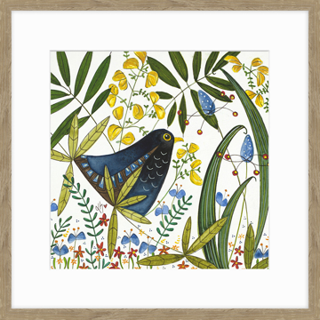 Picture of Blackbird in Hedgerow - PF11