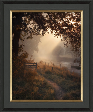 Picture of Falling Light I HF - MP142