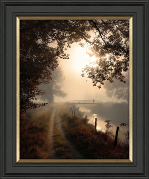 Picture of Falling Light II HF - MP142