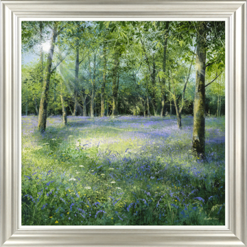Picture of Bluebell Glade HF  - MP108