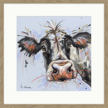 Picture of Curious Cow - PF11