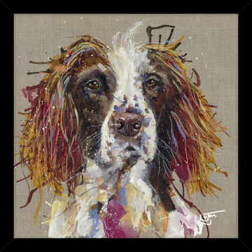 Picture of Spaniel HF - A22