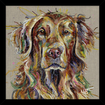 Picture of Red Lab HF - A22