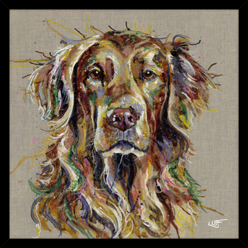 Picture of Rusty HF - A1