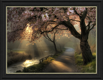 Picture of Golden Hour Blossom HF - MP142