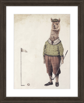 Picture of Alpaca Golf Club - NC1