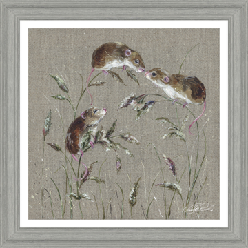 Picture of Mousing Around HF - CR116