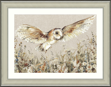 Picture of Owl in Flight - MP137